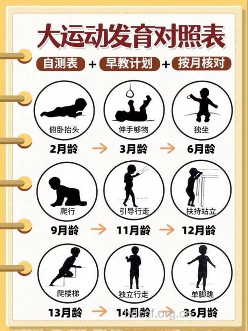 宝宝需要每天健身3小时