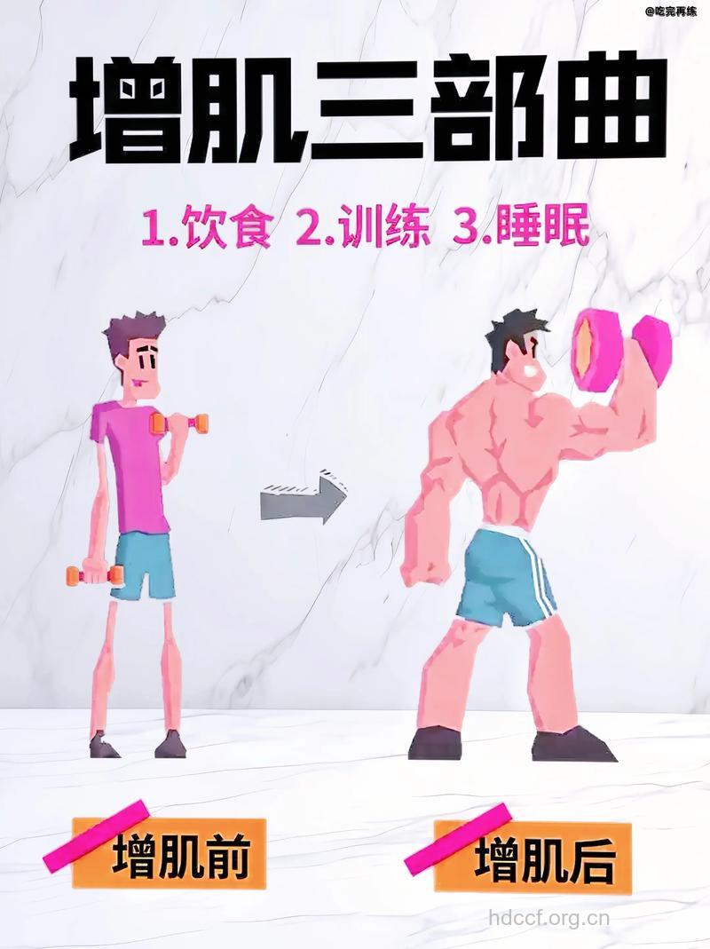 男人增肌的五大误区