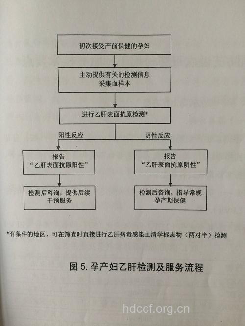乙肝患者孕后要做哪些检查