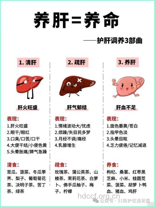 如何真正的了解肝脏