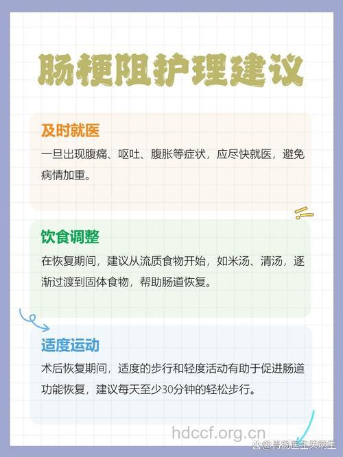 肠梗阻的检查和预防