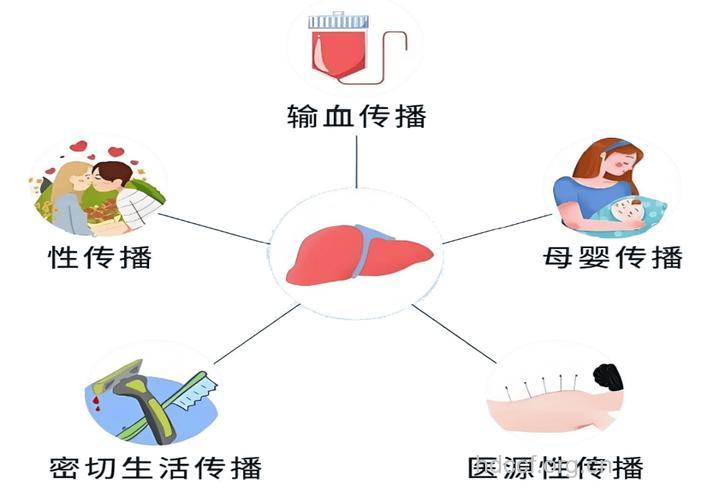 肝炎传播的路线
