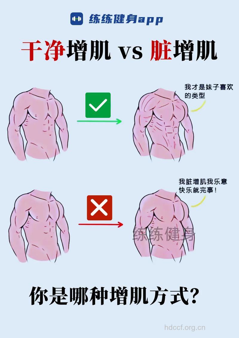 增肌常见的“十大”问题