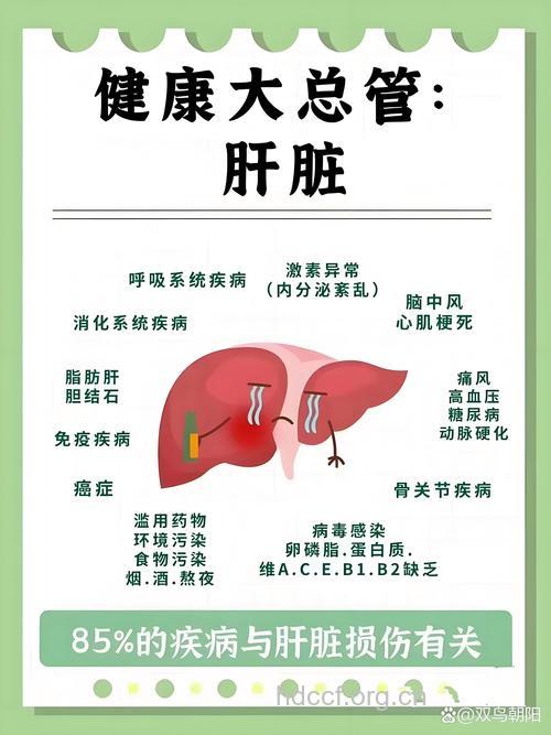 乙肝重型肝炎的简介