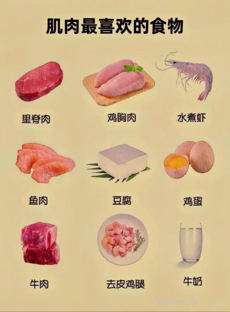 吃什么东西可以长肌肉