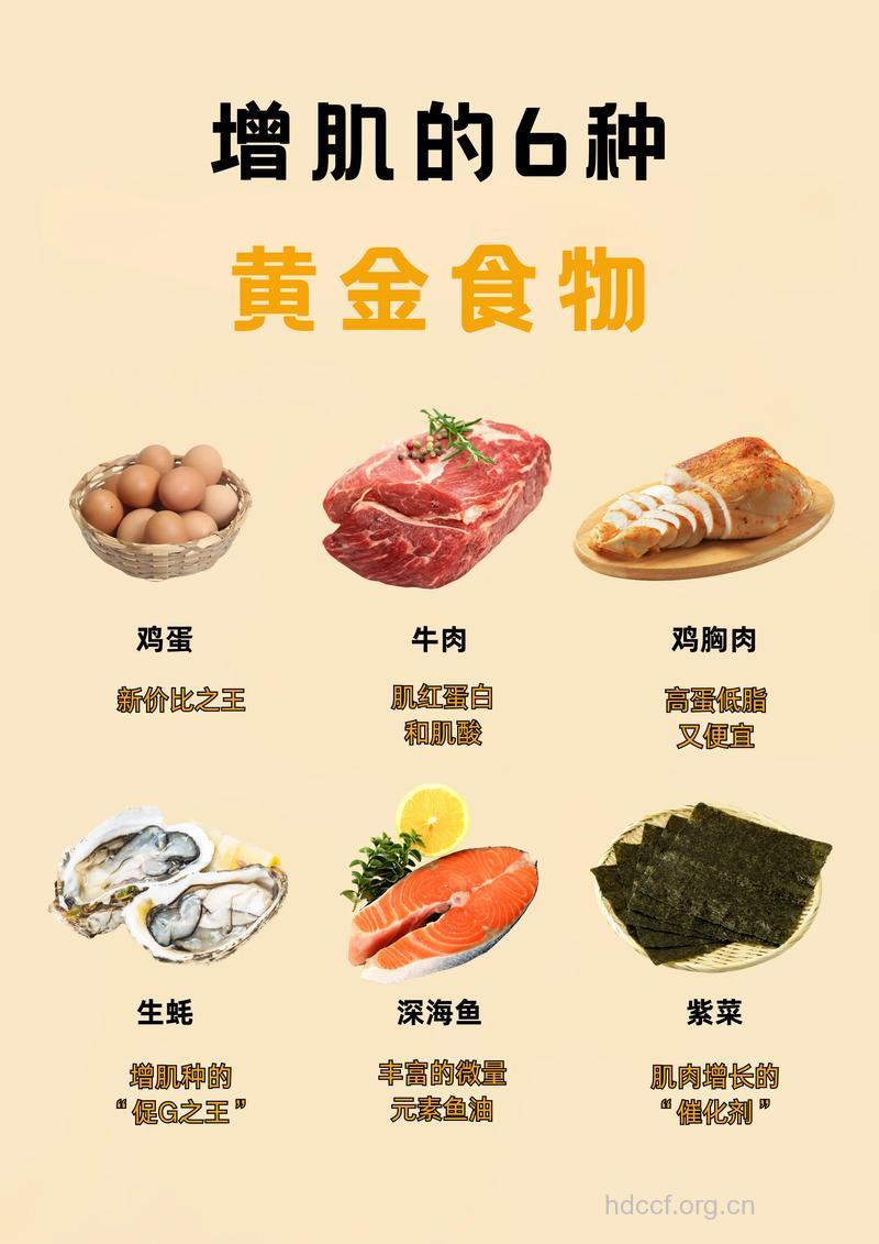 健身增肌的十大最佳食物
