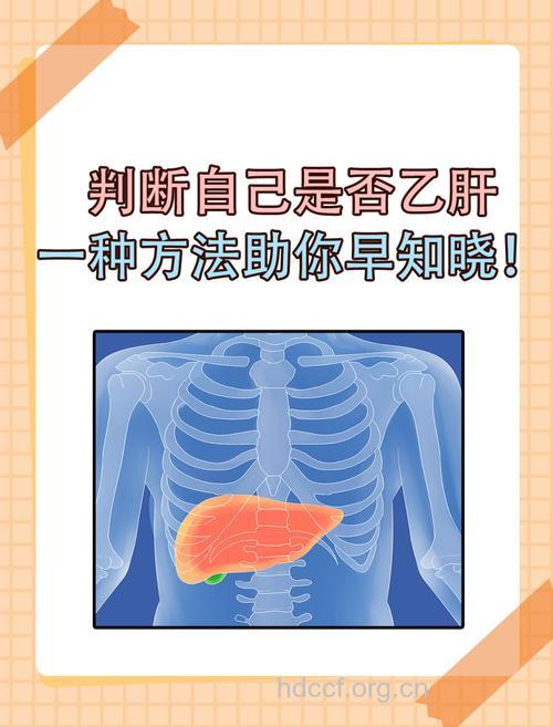 怎么判断乙肝是否具有传染性