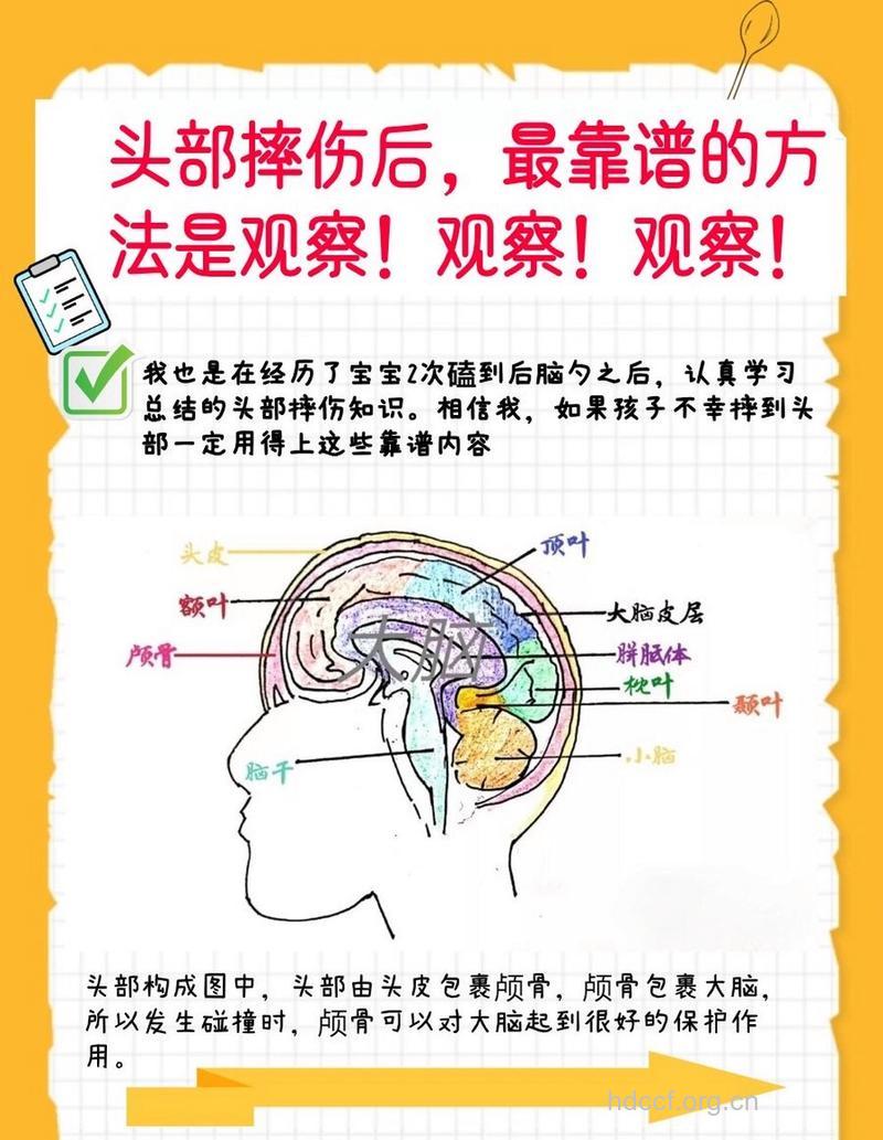 儿童头部外伤如何自我诊断