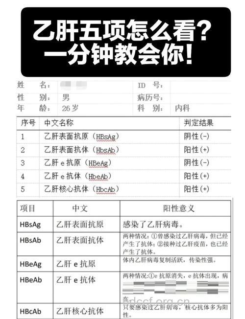 无症状乙肝携带者是否要检查