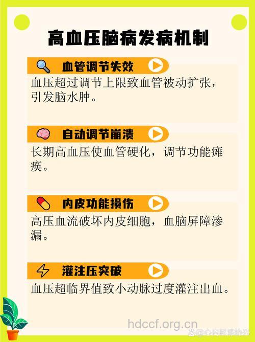 关于高血压脑病有什么常识