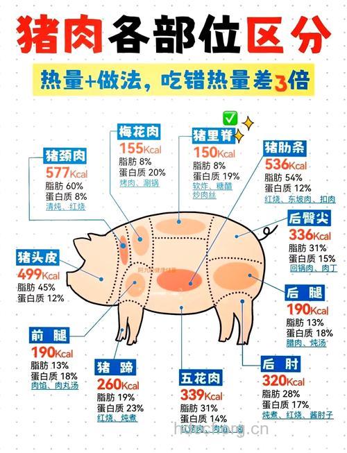 助美女瘦身成功的四种肉类
