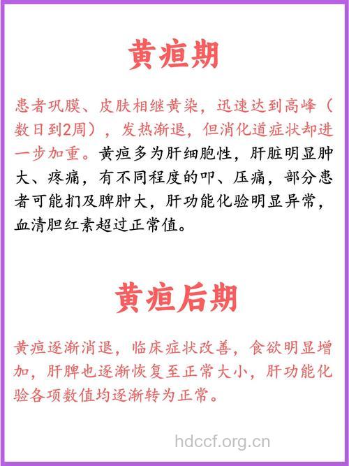 什么是急性黄疸型肝炎