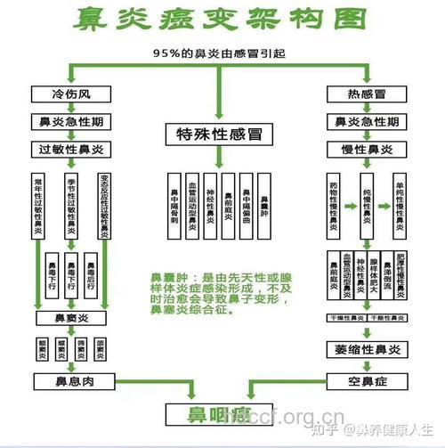 导致鼻咽癌的病因是哪些呢