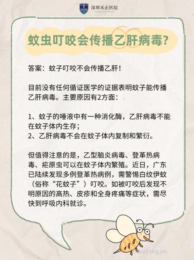 蚊虫叮咬能否传染乙肝病毒