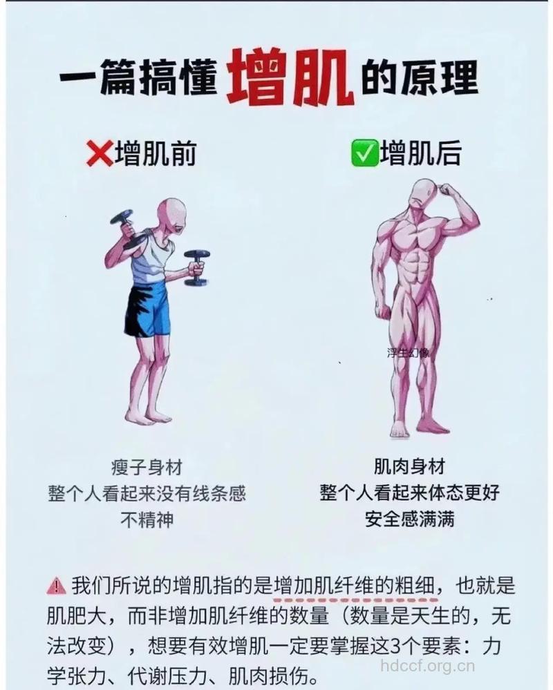 冬季男士完美增肌解读