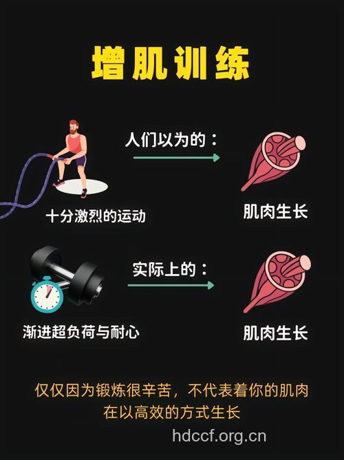 男士增长肌肉的黄金季节是冬季还是秋季