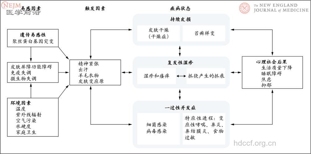 湿疹有哪些发病机制