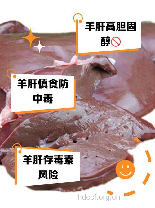 乙肝大三阳患者能吃羊肉吗