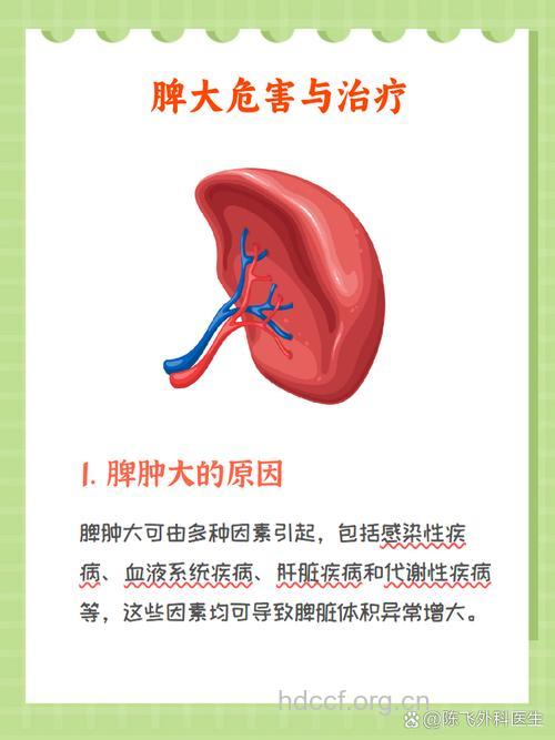 大三阳患者脾大的原因是什么