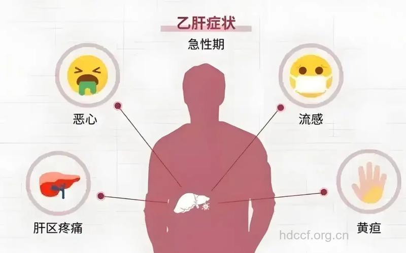 乙肝复发的原因