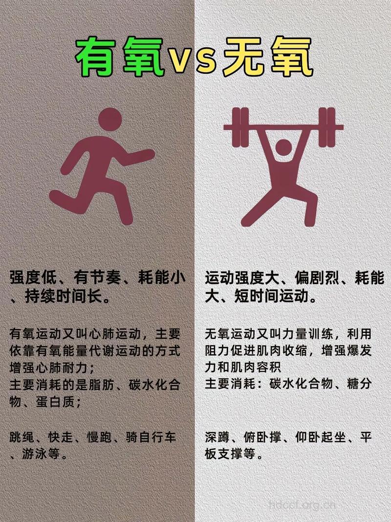 有氧和无氧到底对人体有什么益处