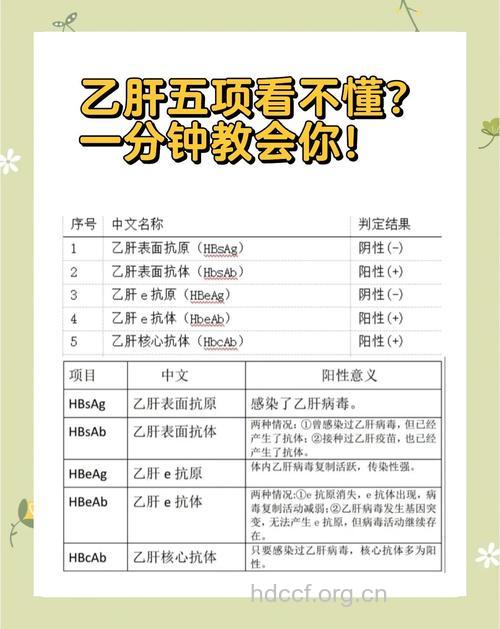 乙肝五项指标的意义