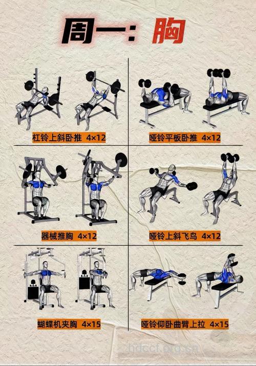 让你“性趣”勃勃的健身法