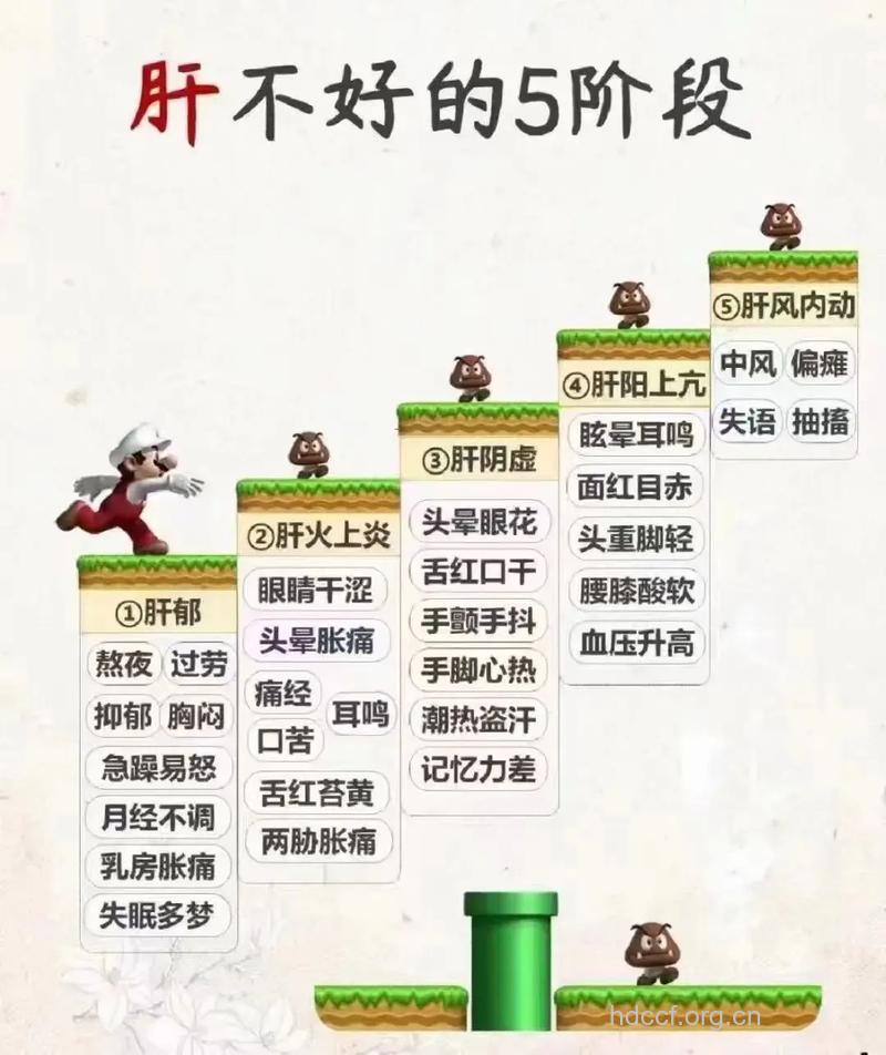 肝功能和亚健康联系紧密