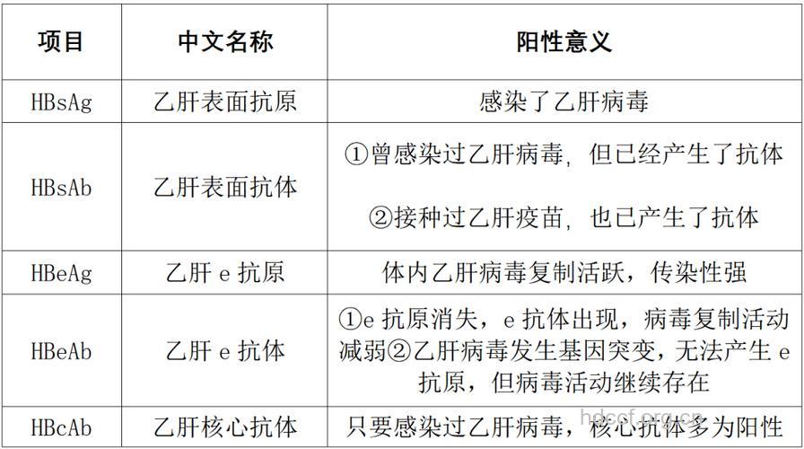教你读懂乙肝检查报告
