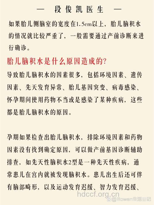 胎儿为何会发生脑积水