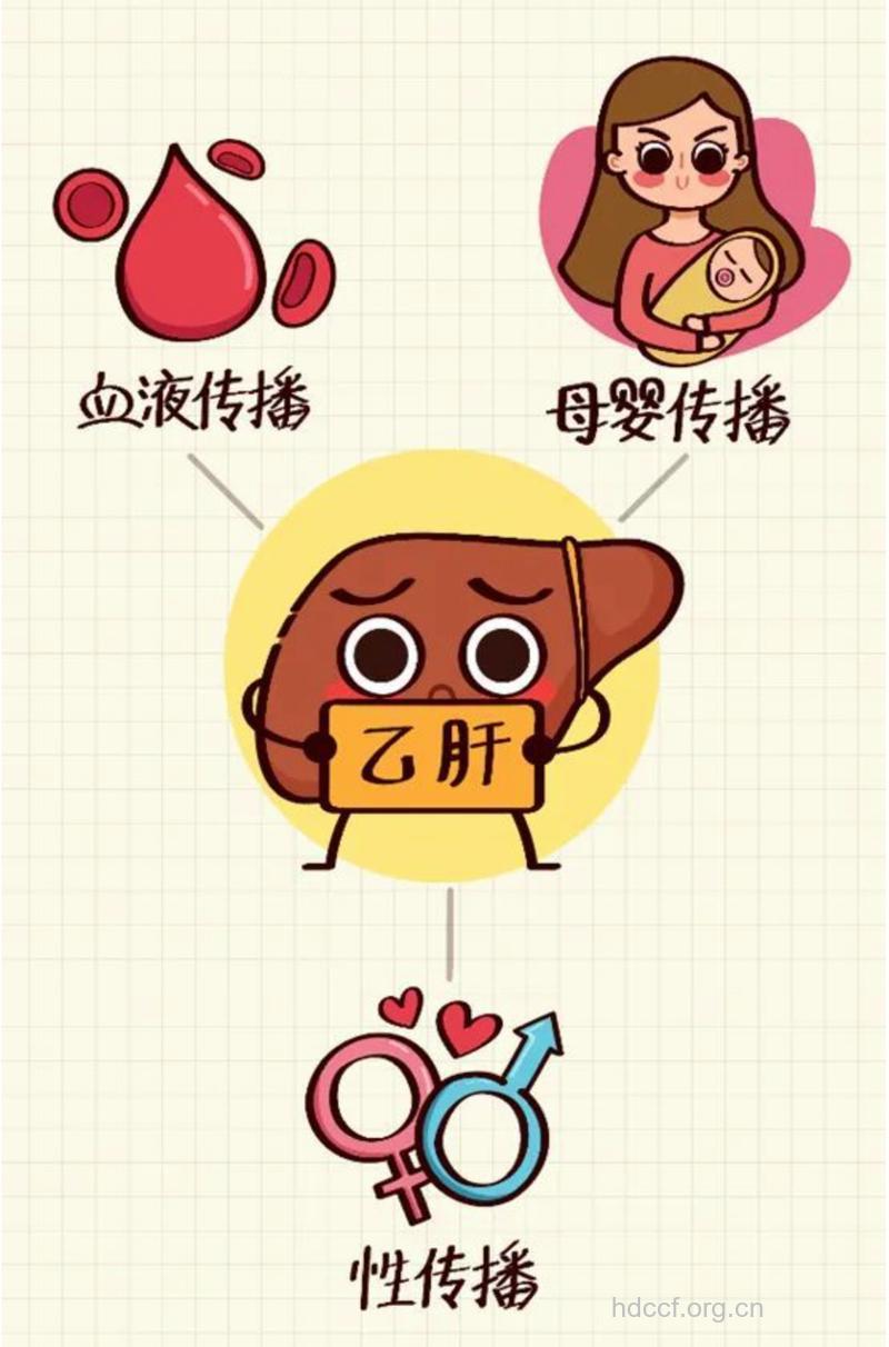 乙肝传播新途径——父婴传播