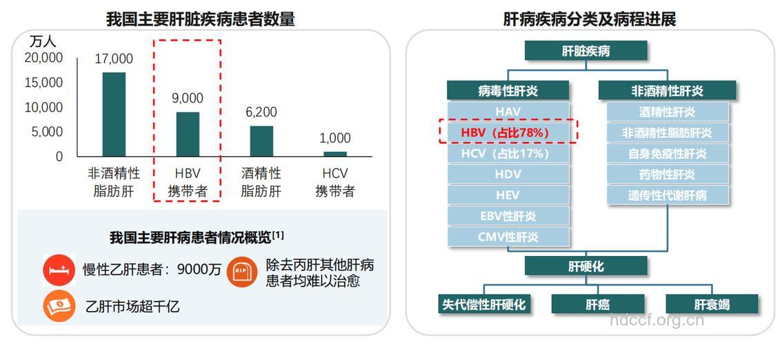 乙肝高感染人群盘点