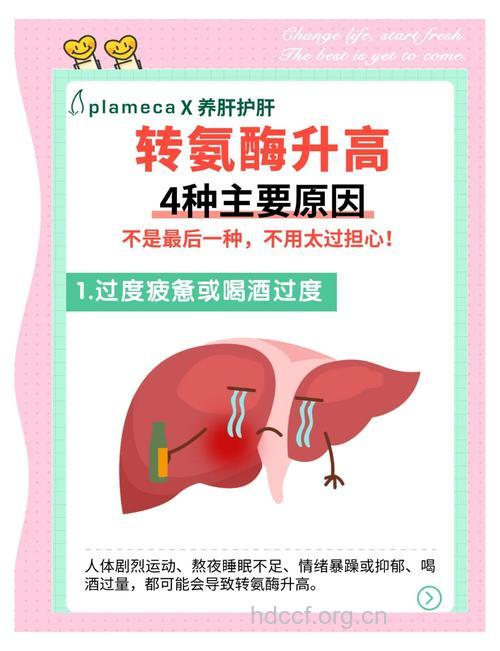 转氨酶怎样才能降下来？