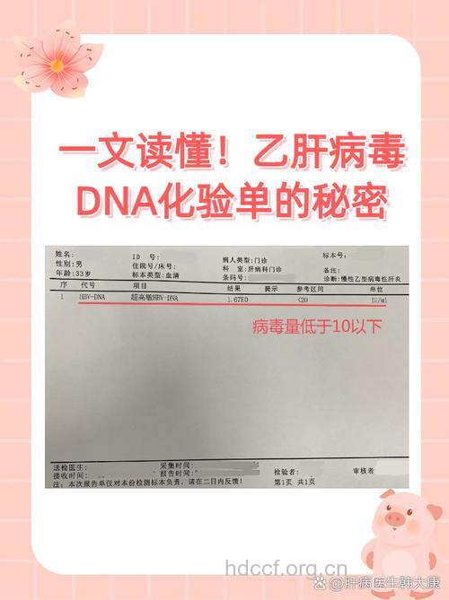 乙肝感染有了病毒DNA新界定