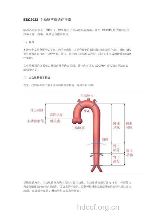 怎么治疗主动脉夹层