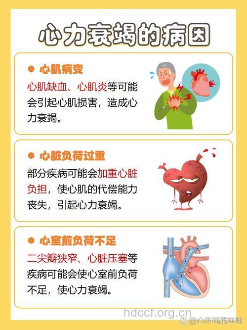 预防心衰有什么关键点