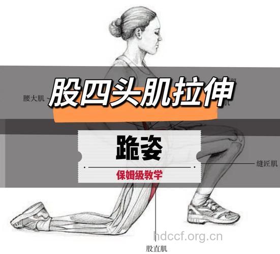 股四头肌是如何练出来的