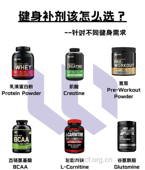 增长肌肉需要那些营养补剂