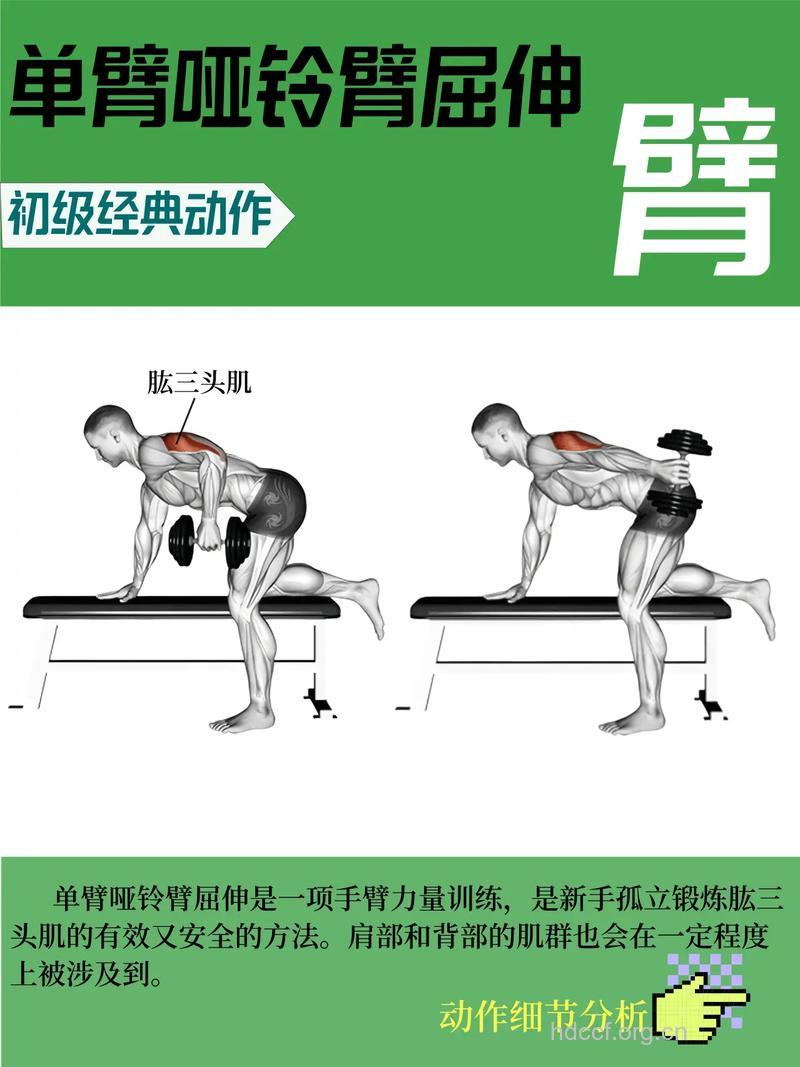 如何练肱三头肌 三种臂屈伸来帮忙