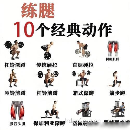怎么练大腿肌 推荐三种主要练法