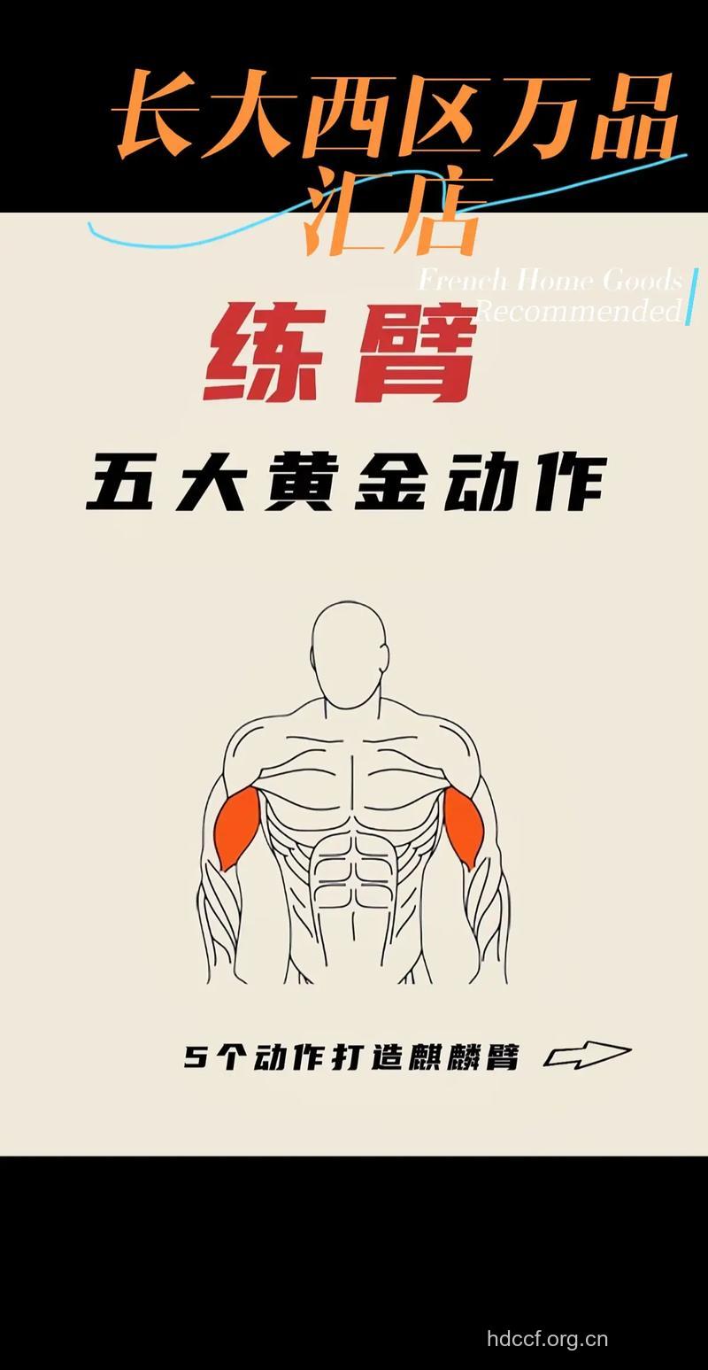 练手臂上的肌肉 四招帮你轻松练