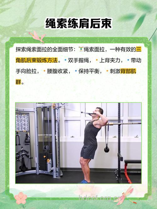 强化三角肌后束 超燃三种动作支持