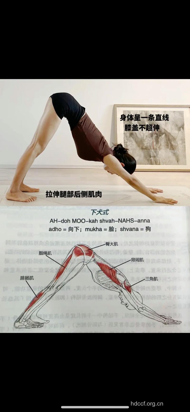 怎么减肌肉小腿 安利四种有效方法