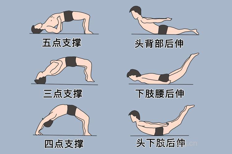 高效锻炼背肌 就这四个动作