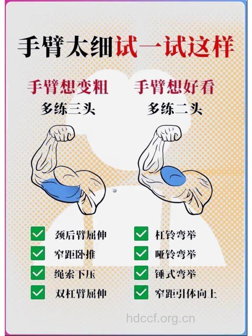 暴涨臂围有诀窍 这些错误不可犯