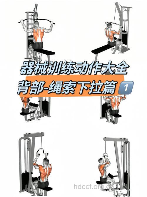 拉力器能练二头肌吗 试试这三个方法