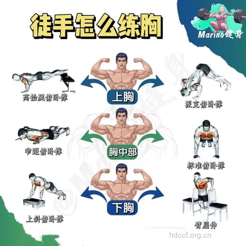 拥有健硕大胸肌 你需要这四个动作