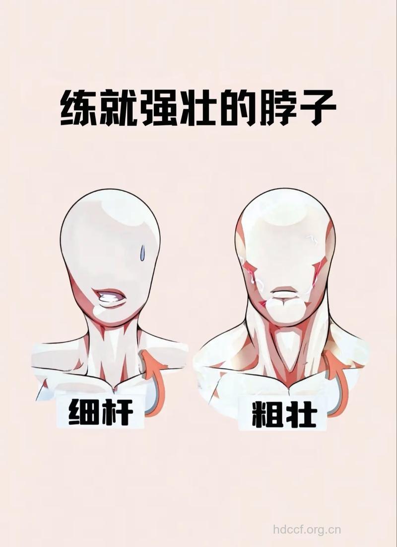 如何练颈部肌肉 这样做安全又有效