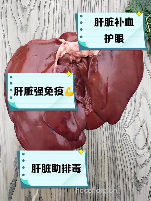 动物肝脏有补肝作用吗