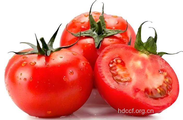 每天吃西红柿等于注射疫苗